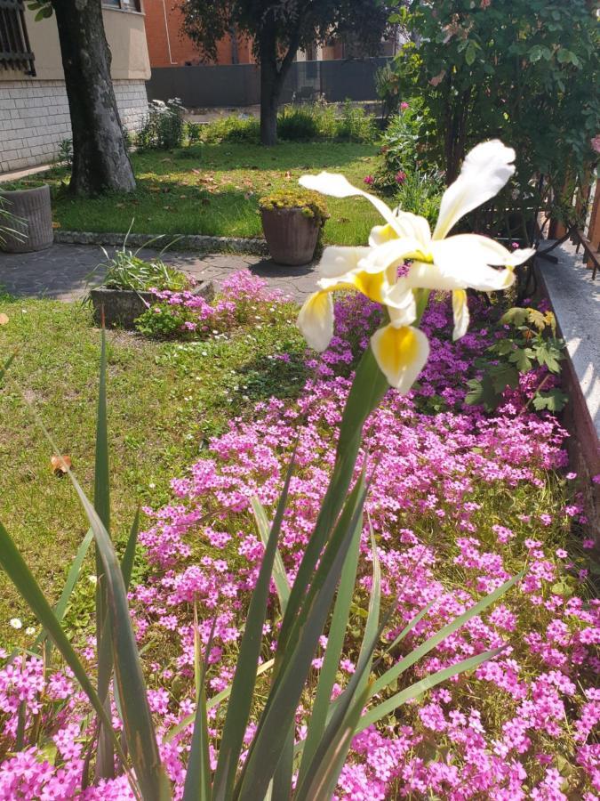 B&B Family Home Soresina Kültér fotó